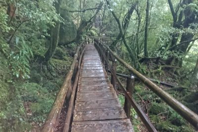 鹿児島県 屋久島 白水雲水峡 飛流橋