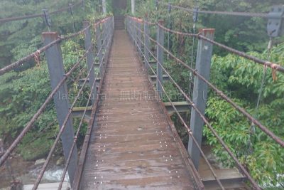 鹿児島県 屋久島 白水雲水峡 さつき吊り橋