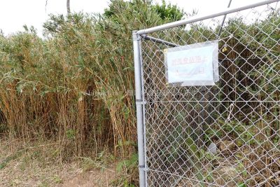 沖縄県 石垣島 於茂登岳 登山 頂上付近