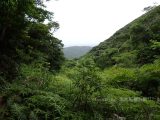 沖縄県 石垣島 於茂登岳 登山 登山道