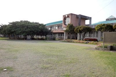 鹿児島県 沖永良部島 日本一のガジュマル