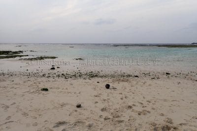鹿児島県 沖永良部島 ワンジョビーチ