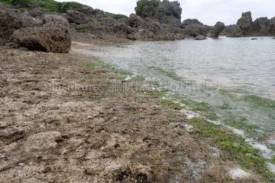 鹿児島県 沖永良部島 ウジジ浜 1/3