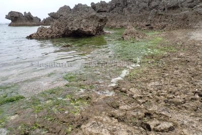 鹿児島県 沖永良部島 ウジジ浜 3/3