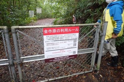 鹿児島県 奄美大島 金作原