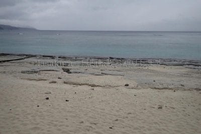 鹿児島県 奄美大島 大浜海浜パーク 2/3