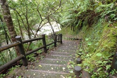 鹿児島県 奄美大島 マテリヤの滝へ