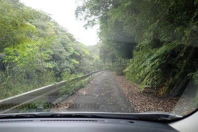 鹿児島県 奄美大島 赤土山展望台から油井岳へ