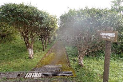 鹿児島県 奄美大島 油井岳 大島海峡展望所