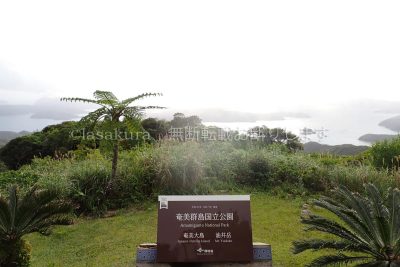 鹿児島県 奄美大島 油井岳 大島海峡展望所 世界自然遺産保護区域