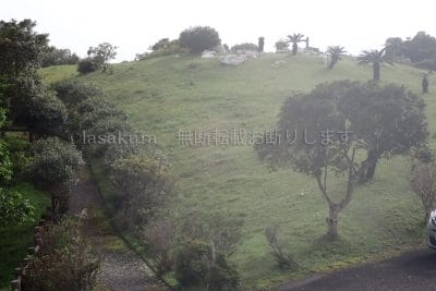鹿児島県 奄美大島 油井岳 大島海峡展望所 世界自然遺産保護区域