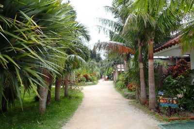 沖縄県 油布島 はなふる楽園油布島 Shell & Green Oasis・レストラン＆ショップ水牛商店