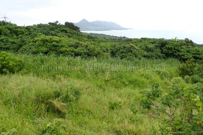 沖縄県 石垣島 玉取崎展望台