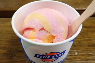 沖縄県 石垣島 川平湾 ブルーシール アイスクリーム