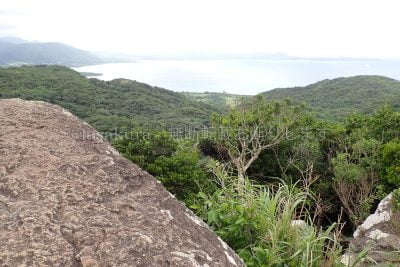 沖縄県 石垣島 屋良部岳