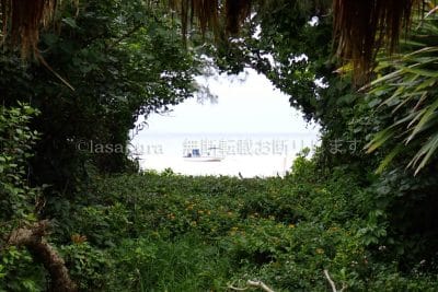 沖縄県 石垣島 石垣シーサイドホテル かびらビレッジ KABIRA VILLAGE