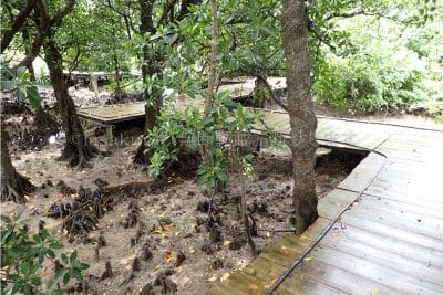 沖縄県 石垣島 石垣やいま村 名護アンパル