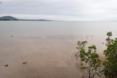 沖縄県 石垣島 名蔵湾の東小屋パーキング