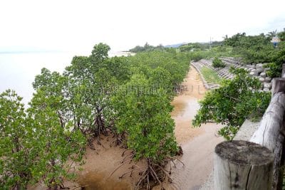 沖縄県 石垣島 名蔵湾の東小屋パーキング