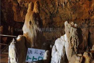 沖縄県 石垣島 石垣島鍾乳洞 トトロ鍾乳石