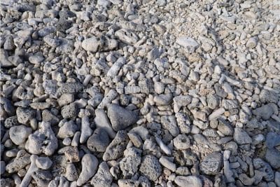 沖縄県 石垣島 白保海岸