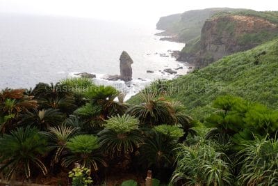 与那国島立神岩展望台から