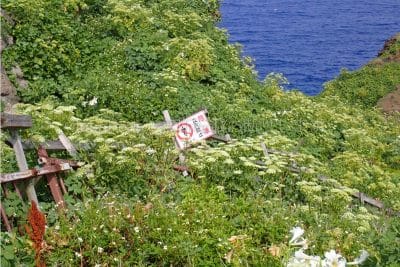 サンニヌ台展望台