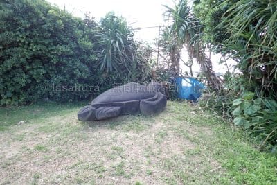 与那国島ナンタ浜の亀
