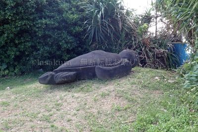 与那国島ナンタ浜の亀