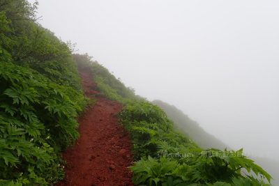 秋田県 秋田駒ケ岳 登山 登山道