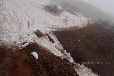 秋田県 秋田駒ケ岳 登山 登山道 雪渓