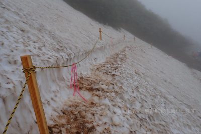 秋田県 秋田駒ケ岳 登山 登山道 雪渓
