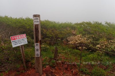 秋田県 秋田駒ケ岳 登山 登山道 阿弥陀池の湿地帯 片倉岳 展望台