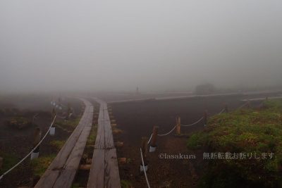 秋田県 秋田駒ケ岳 登山 登山道 阿弥陀池の湿地帯