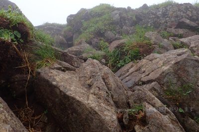 秋田県 秋田駒ケ岳 登山 男岳への登山道