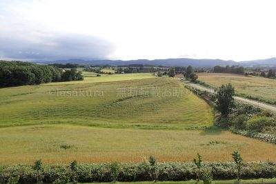 北海道 美瑛 西北の丘展望公園