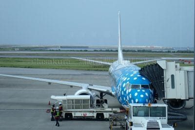 沖縄県 那覇空港 JAL ラッピング飛行機 ジンベエジェット