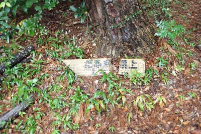 沖縄県 久米島 だるま山 だるま山山頂 標識