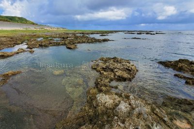 沖縄県 久米島 熱帯魚の家