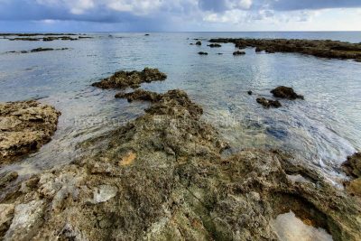 沖縄県 久米島 熱帯魚の家