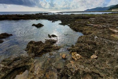 沖縄県 久米島 熱帯魚の家