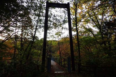 青森県 仙台川渓谷 あじさい橋