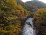 青森県 仙台川渓谷