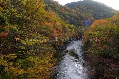 青森県 仙台川渓谷