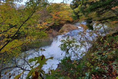 青森県 川内川渓谷 大滝