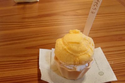 鹿児島県 屋久島 屋久島ジェラートそらうみ