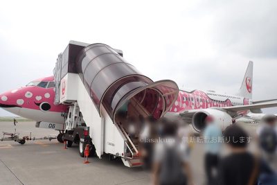 沖縄県 那覇空港 久米島空港行き JAL ラッピング飛行機 サクラジンベエ
