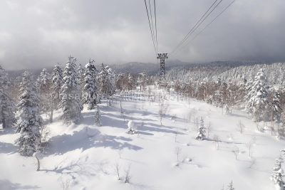 北海道 大雪山 旭岳 旭岳ロープウェイ 樹氷