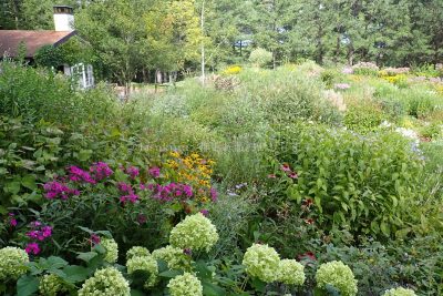 北海道 富良野市 プリンスホテル 風のガーデン 見晴台