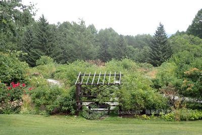 北海道 富良野市 プリンスホテル 風のガーデン 薔薇の庭